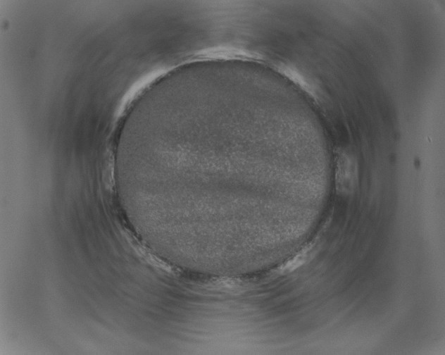 X0000067361358200604131806