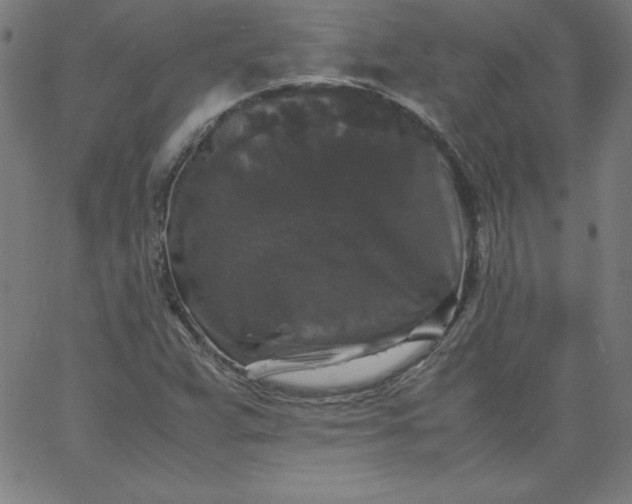 X0000067361359200604131806