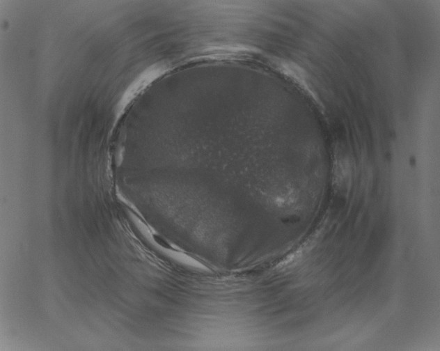 X0000067361362200604131806