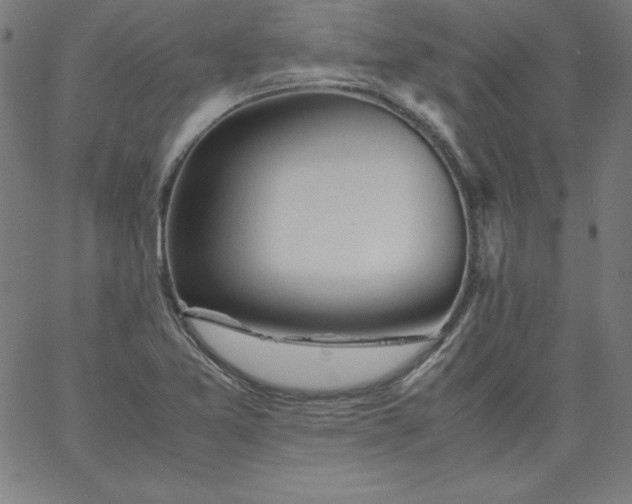 X0000067361365200604131806