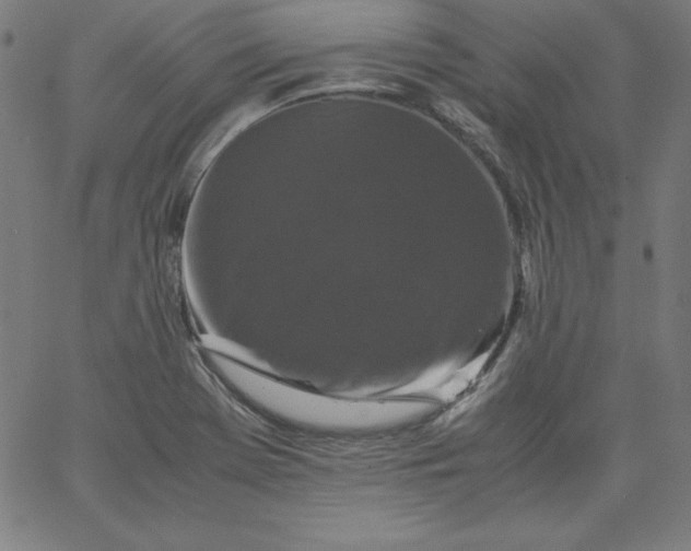 X0000067361369200604131805