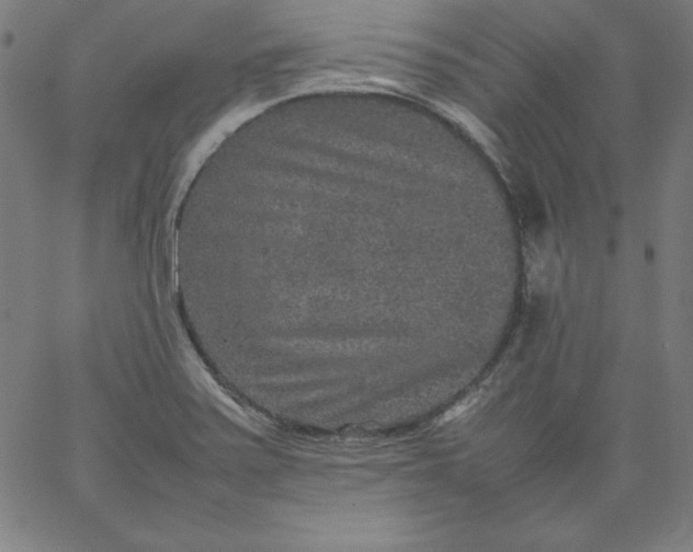 X0000067361371200604131805