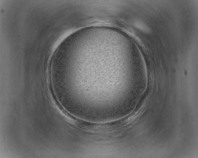 X0000067361375200604131805