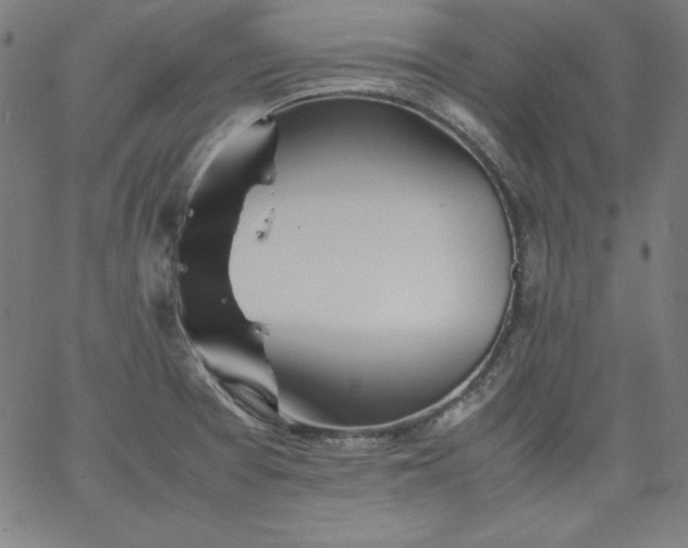 X0000067361377200604131805