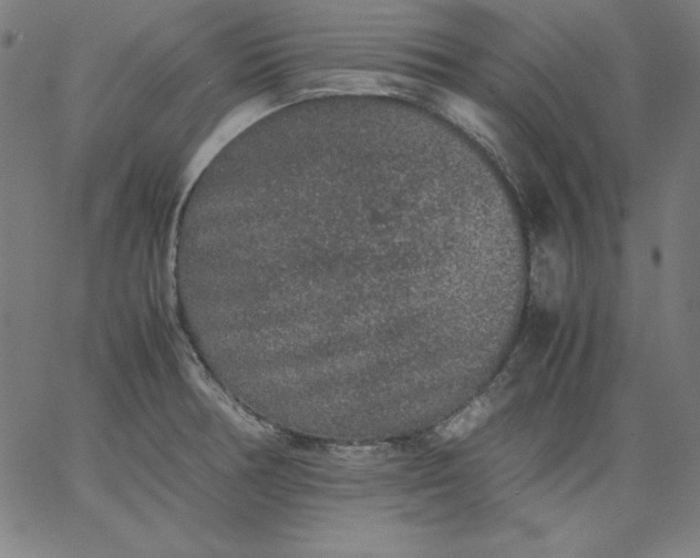 X0000067361378200604131805
