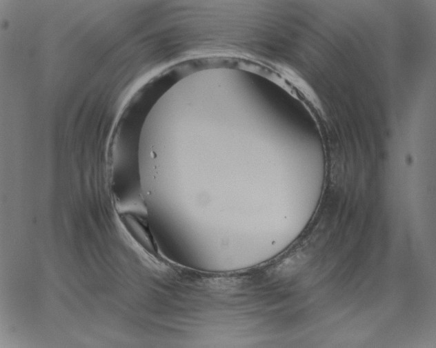 X0000067361380200604131805