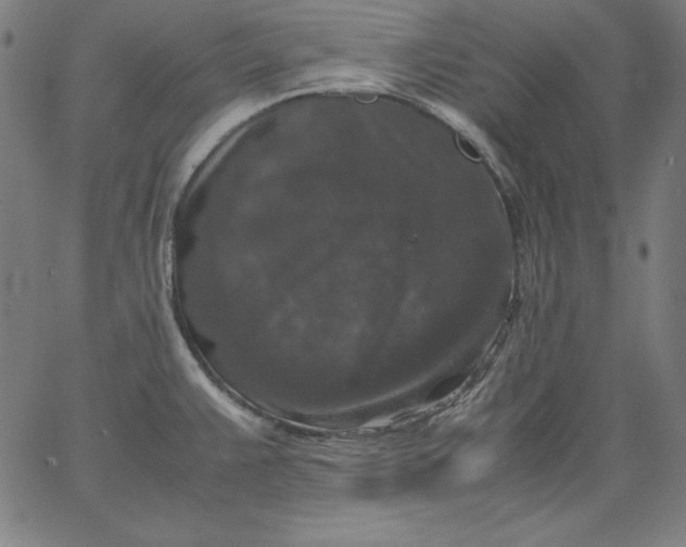 X0000067361383200604131805