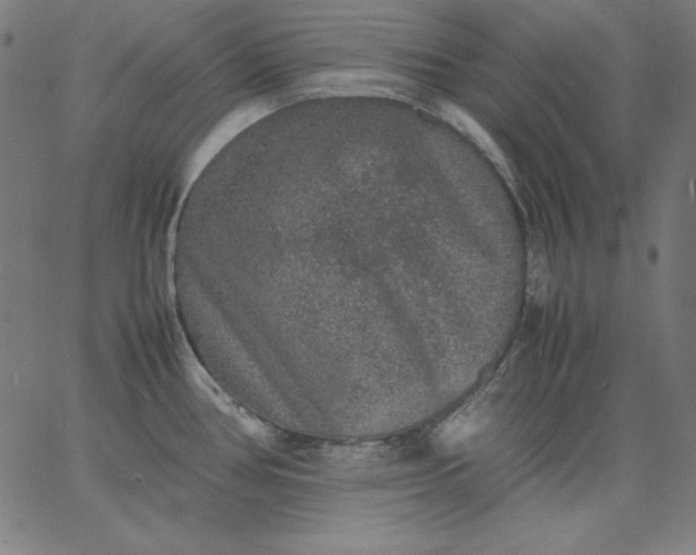 X0000067361386200604131805