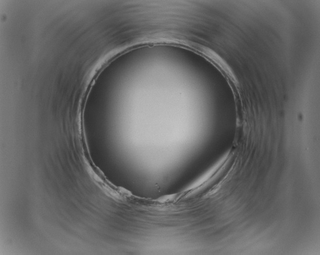 X0000067361388200604131805