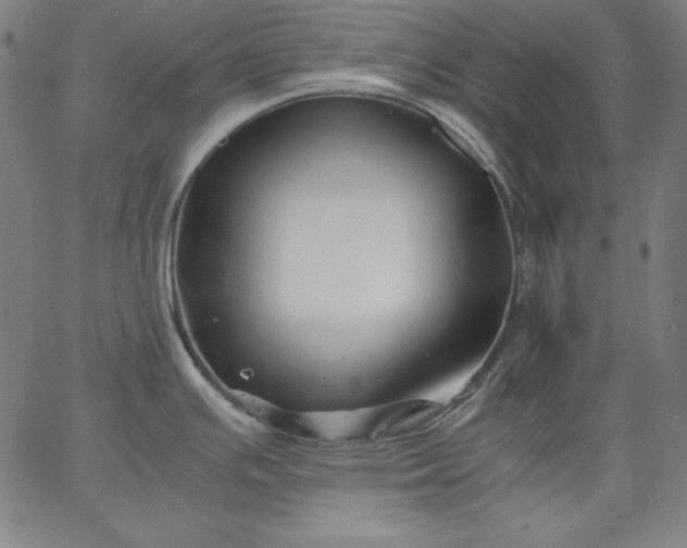 X0000067361391200604131805
