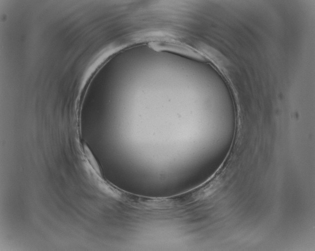 X0000067361392200604131805