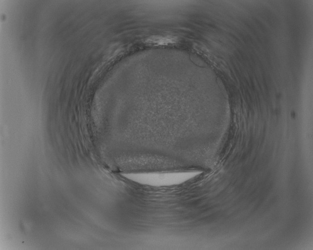 X0000067361393200604131804