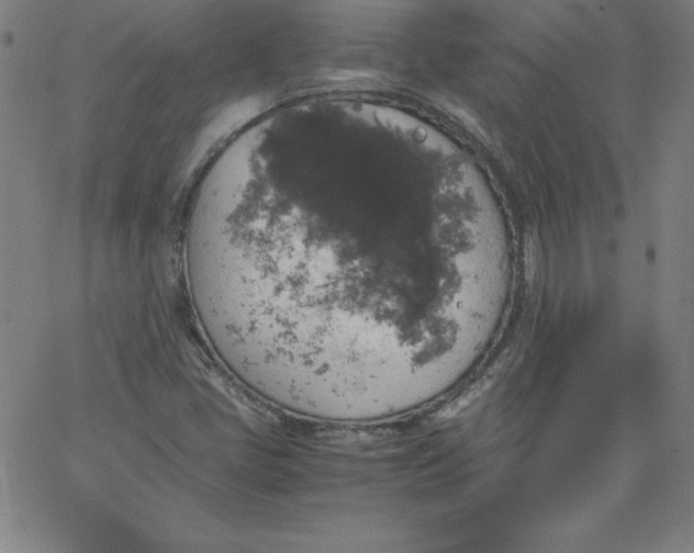 X0000067361405200604131805