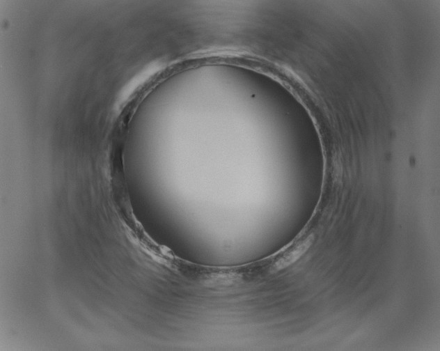 X0000067361406200604131805