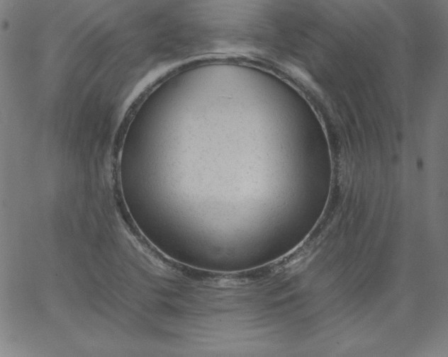 X0000067361412200604131805