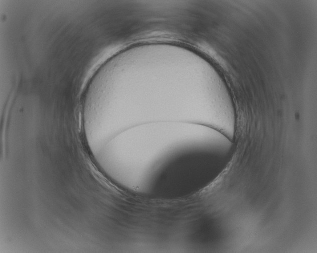 X0000067361413200604131805