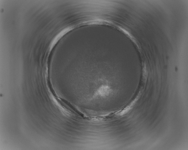X0000067361418200604131805