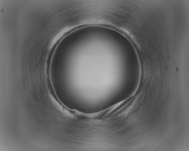 X0000067361422200604131805