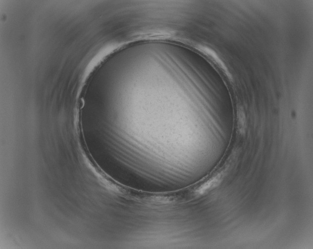 X0000067361424200604131805