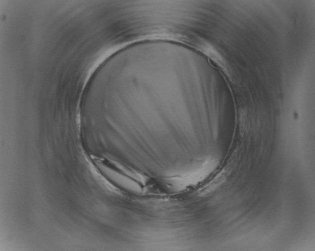 X0000067361428200604131805