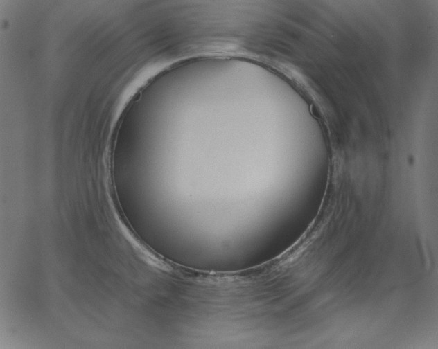 X0000067361432200604131805