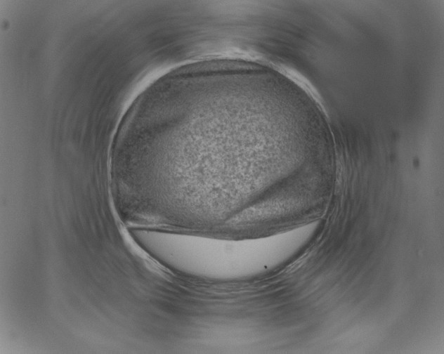 X0000067361439200604131805