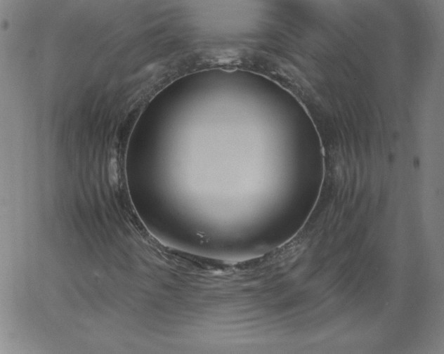 X0000067361442200604131804