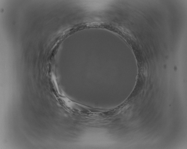 X0000067361445200604131804
