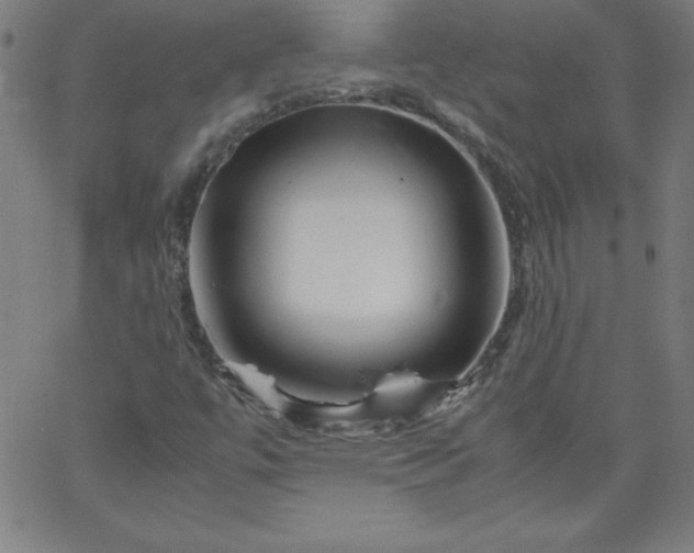 X0000067361447200604131804