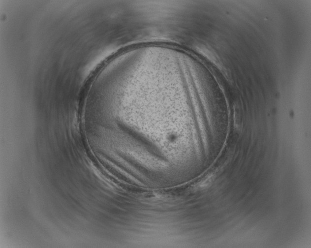 X0000067361452200604131804