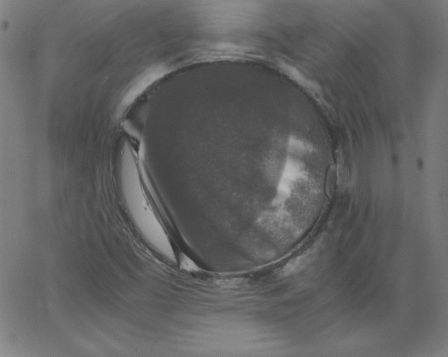 X0000067361453200604131804