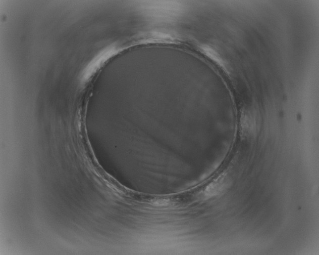 X0000067361455200604131804