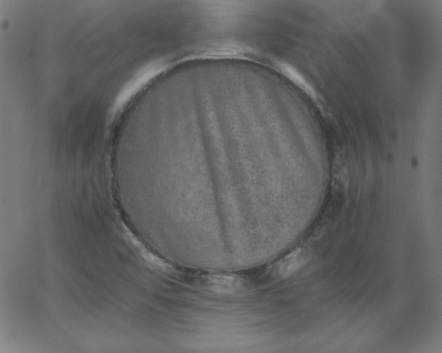 X0000067361456200604131804