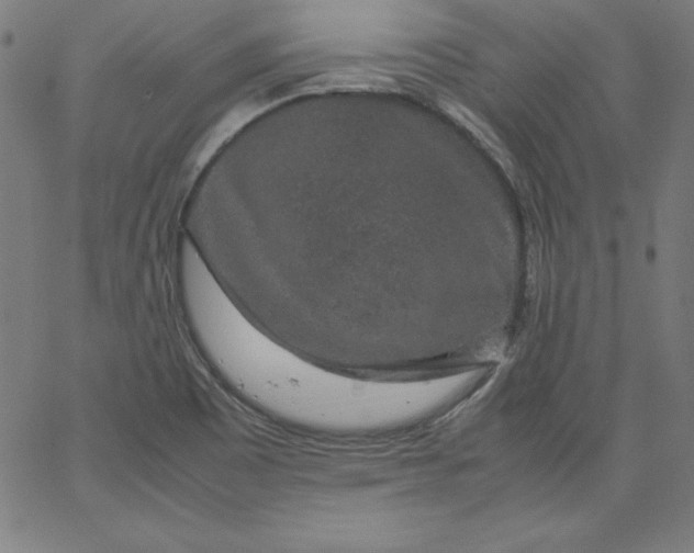X0000067361465200604131804
