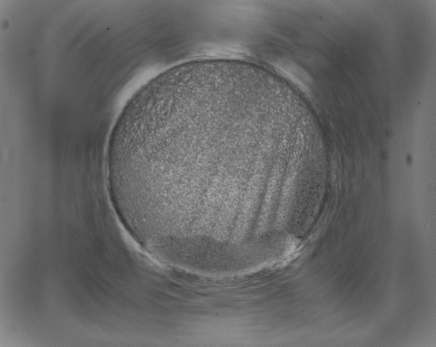 X0000067361471200604131804