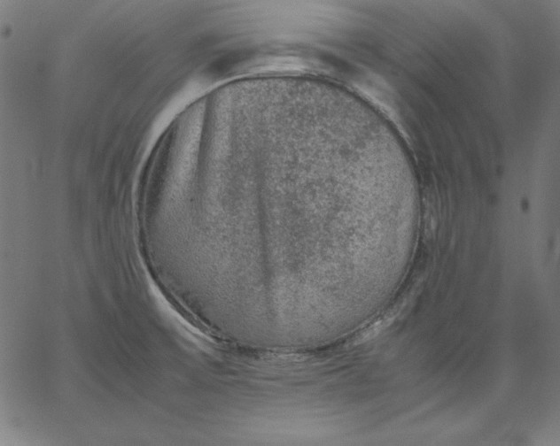 X0000067361475200604131804