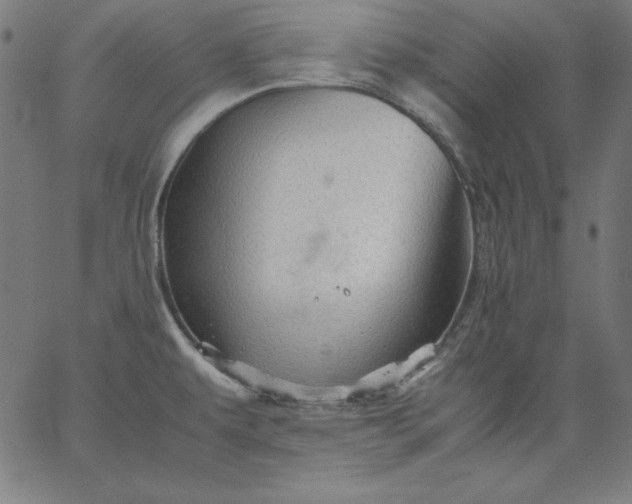 X0000067361479200604131804