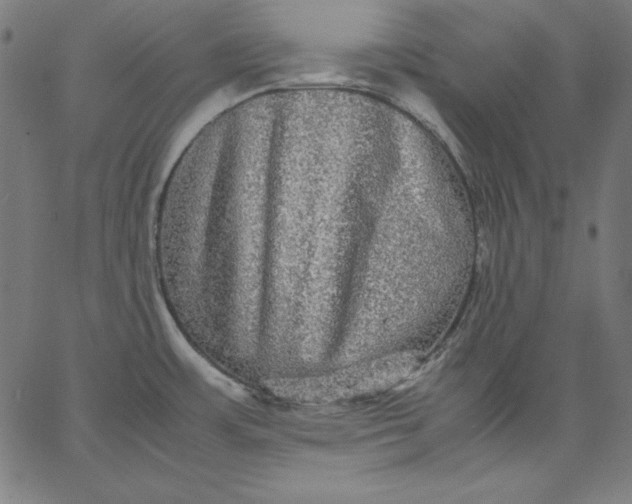 X0000067361483200604131804