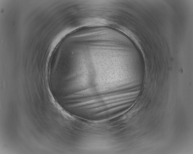 X0000067361488200604131804