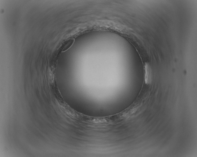 X0000067361491200604131803