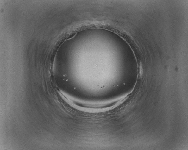 X0000067361492200604131803