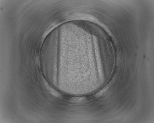 X0000067361513200604131803