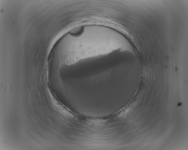 X0000067361522200604131803