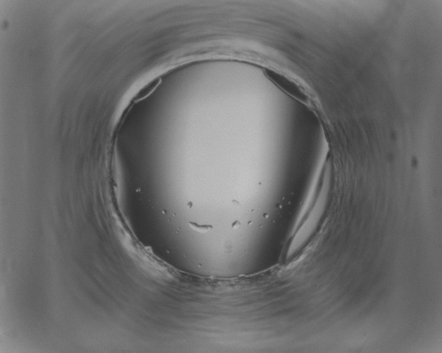 X0000067361530200604131803
