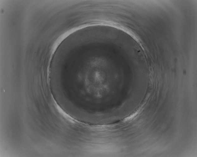 X0000067361535200604131804