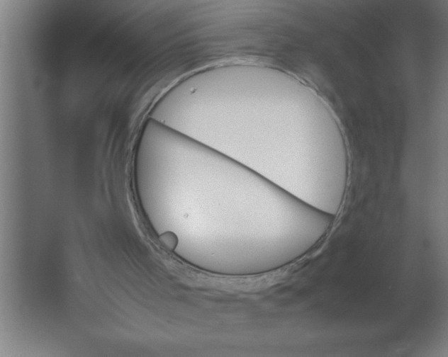 X0000067360001200604212040