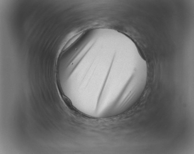 X0000067360003200604212040