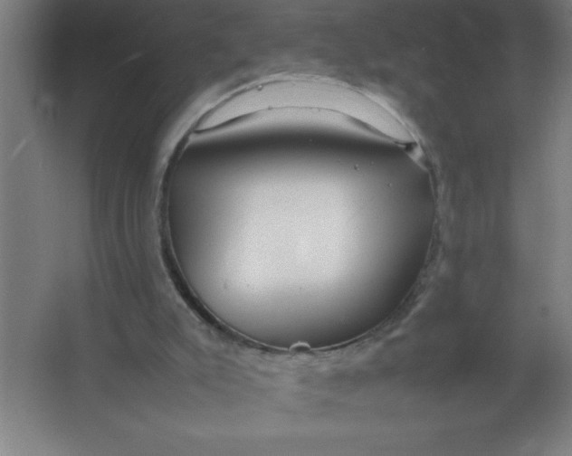 X0000067360007200604212040