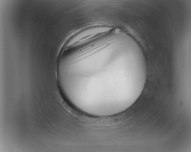 X0000067360011200604212039