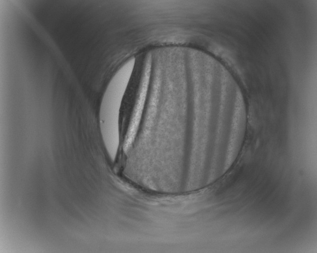 X0000067360017200604212039